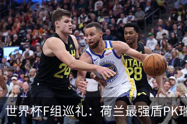 世界杯F组巡礼：荷兰最强盾PK瑞典犀利刀 日本短板明显